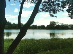 Foto: F&aacute;bio Duran