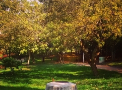 Foto: F&aacute;bio Duran