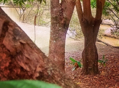 Foto: F&aacute;bio Duran