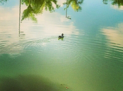 Foto: F&aacute;bio Duran