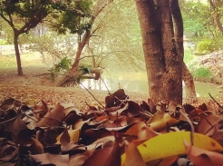 Foto: F&aacute;bio Duran