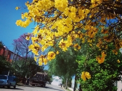 Foto: F&aacute;bio Duran