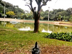 Foto: F&aacute;bio Duran